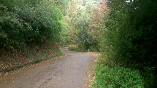 Silent Roads leading to Manki Point